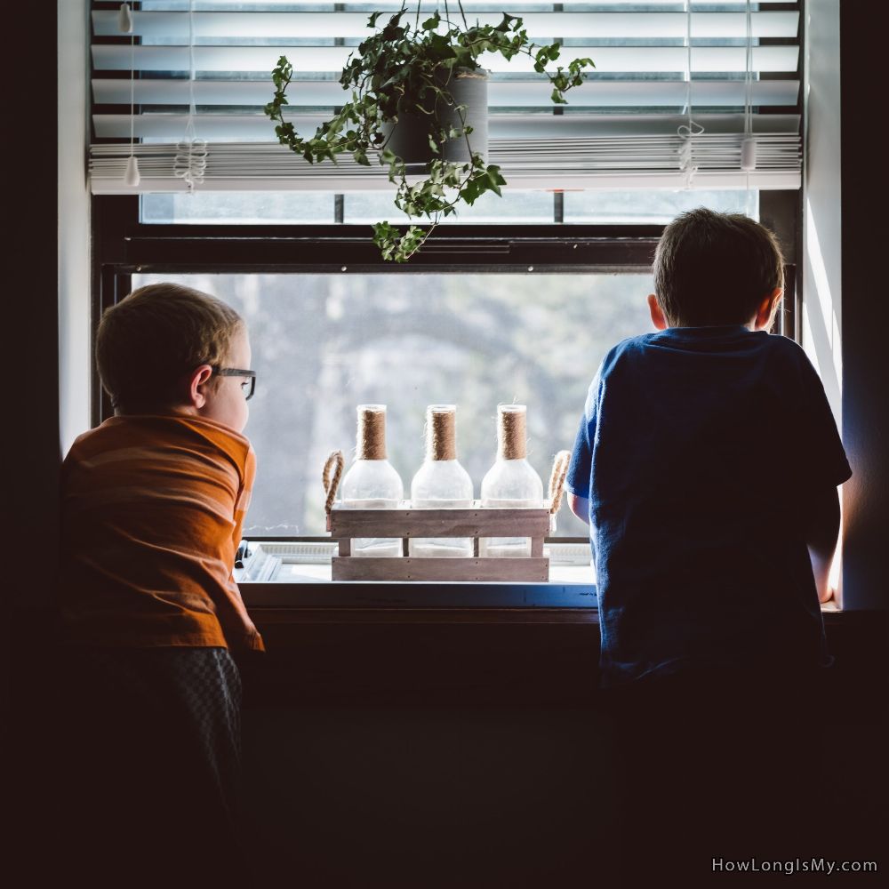 two boys at a window childhood