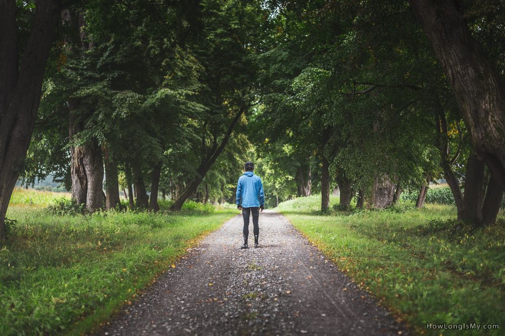 man standing in an alley of trees waiting